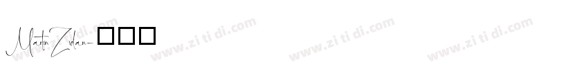 Martin Zidan字体转换